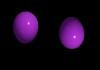 purple eggs