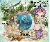 Mermaid kisses & Starfish wishes ~ Pami ~ Offer ~ fg