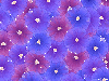 Flowers ~ background