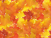 Autumn/Fall ~ background