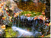 Autumn/Fall ~ background