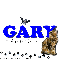 Gary - Bat - Cat