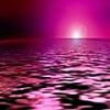 Pink Sunset over the Ocean Avatar