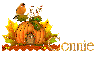 Autumn Pumpkin_Connie