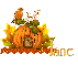 Autumn Pumpkin_Jane