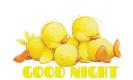 Ducks Bedtime.. NIGHT-NIGHT