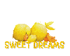 Animated Duck sleeping.. with text "SWEET DREAMS"