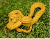 gold amazon snake
