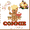 Connie - Gingerbread - Happy Holidays