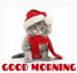 Good Morning Christmas Kitty