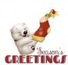 Season's Greetings..Christmas Polar Bear