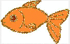 orange fish