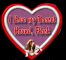 Love my Basset Hound - Flash