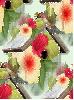 Spring Hummingbird Birdhouse ~ background