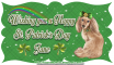 St. Patrick's Day Doggie - Jane
