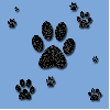 Paws background