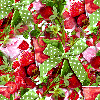 Strawberry Spring Seamless Background