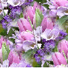Spring tulips ~ background