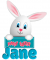 Easter Bunny - Jane