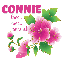 CONNIE.. love.. love.. loves it!
