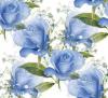 blue rosas