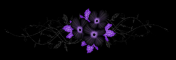 Dark purple flower divider 