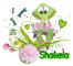 Froggie ~ Shakela