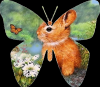 Bunny Butterfly
