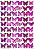 Pink  Butterflies