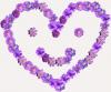 Purple Smiley Heart