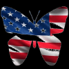 USA Butterfly