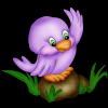 Lil Purple Bird
