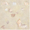 Seashells ~ background