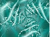 Teal ~ background
