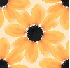 Orange flowers ~ background
