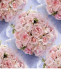 Pink roses bouquet ~ background