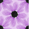 Purple flowers ~ background