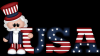 Uncle Sam - USA