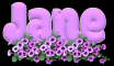 Pink Flowers - Jane
