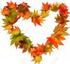 Autumn Leaf Heart