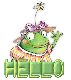 Hello Frog