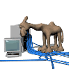 camel with PC