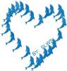 Blue Dolphin Heart