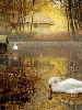 Fall Swan Lake