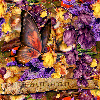 Autumn Butterfly Seamless Background