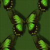 SEAMLESS BUTTERFLY BACKGROUND