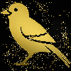 bird gold