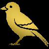 bird gold