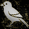 bird silver gold