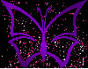 butterfly purple pink